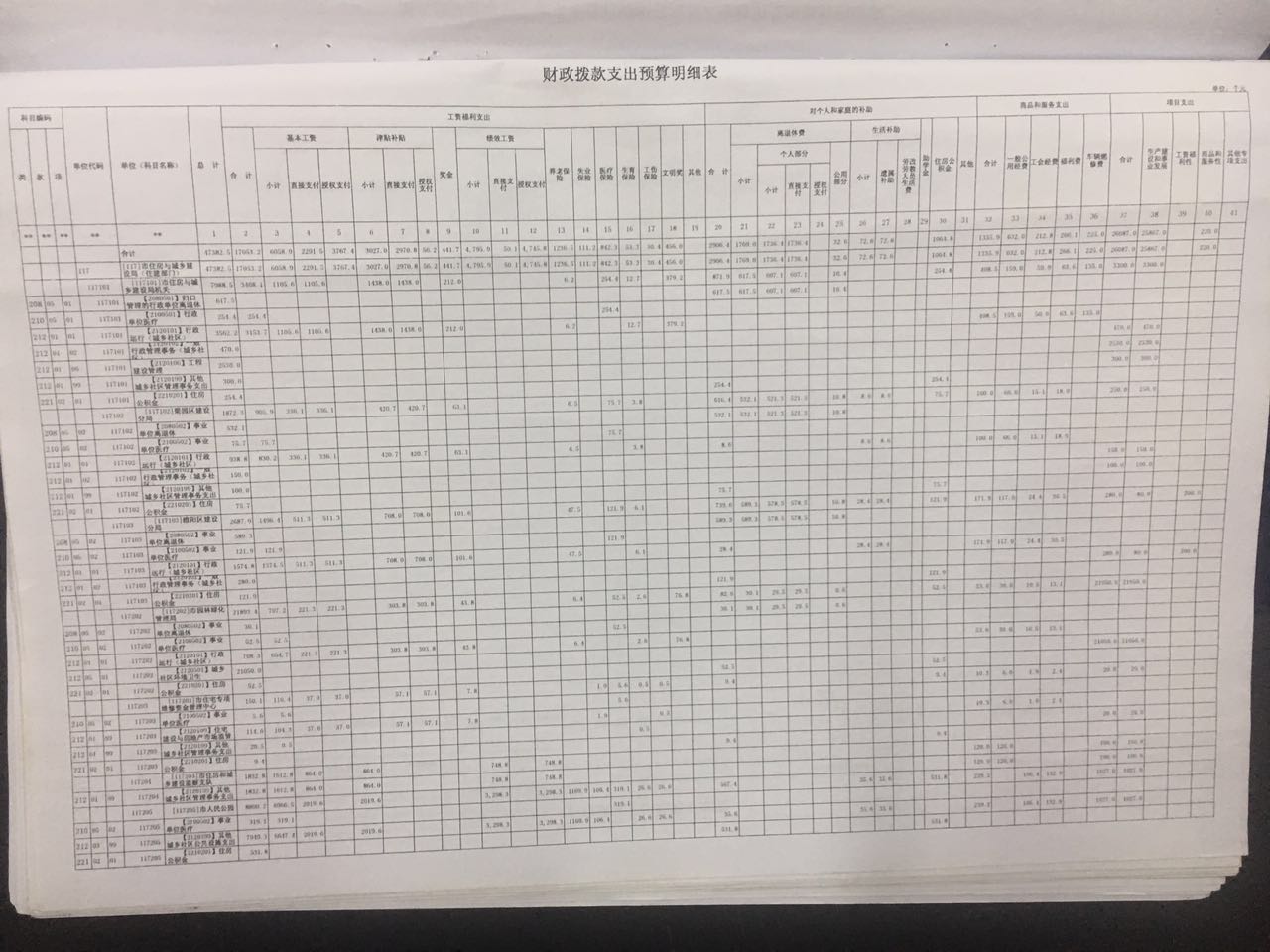 1481436149289130.jpg